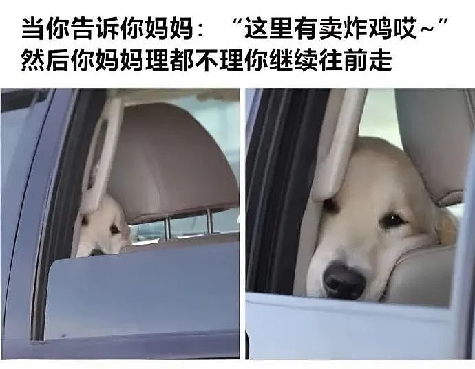 【爆笑】“网友手机里最羞耻的秘密居然是....”哈哈哈哈看完自己的笑出声（组图） - 15