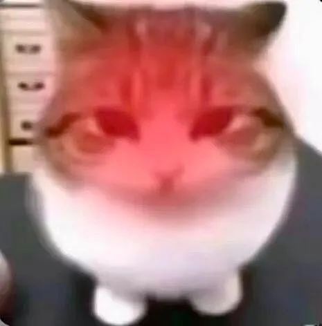 【爆笑】“网友手机里最羞耻的秘密居然是....”哈哈哈哈看完自己的笑出声（组图） - 21