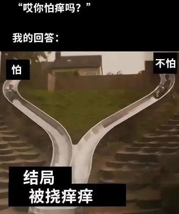 【爆笑】“网友手机里最羞耻的秘密居然是....”哈哈哈哈看完自己的笑出声（组图） - 89