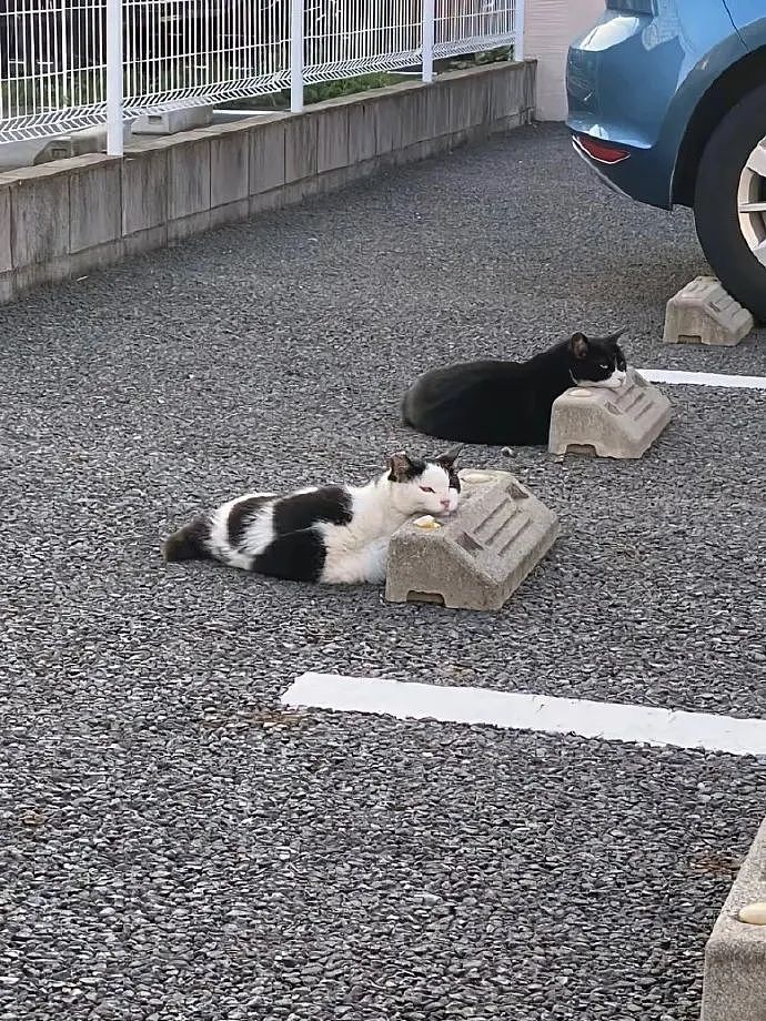 【爆笑】“千万！不要！随便让AI帮你P图啊！”哈哈哈哈真没时间陪你闹了（组图） - 64
