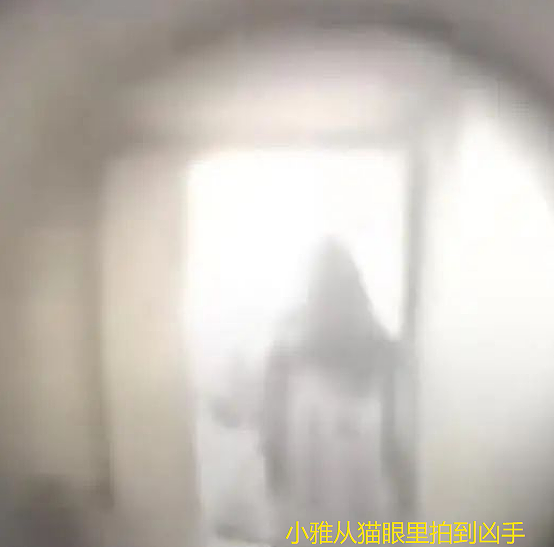 27岁海归女硕士家门口身中十几刀惨遭杀害，凶手被扒是精神病专家建议原谅他？（组图） - 3