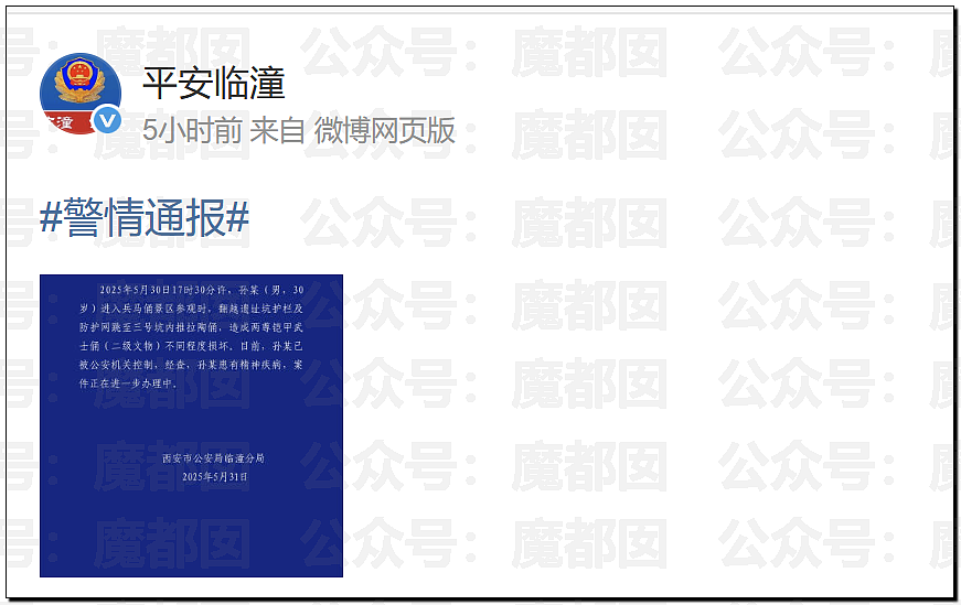 男子跳入俑坑推倒兵马俑摆出奇特姿势，脸上浮现诡异表情！西安警方通报（视频/组图） - 14
