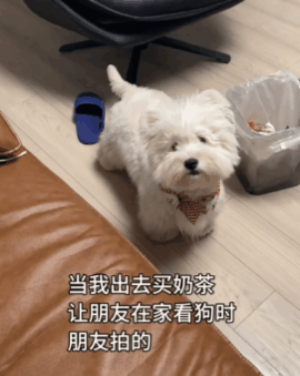 【爆笑】“千万！不要！随便让AI帮你P图啊！”哈哈哈哈真没时间陪你闹了（组图） - 78