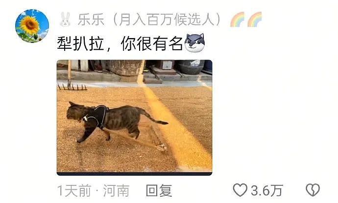 【爆笑】“千万！不要！随便让AI帮你P图啊！”哈哈哈哈真没时间陪你闹了（组图） - 40