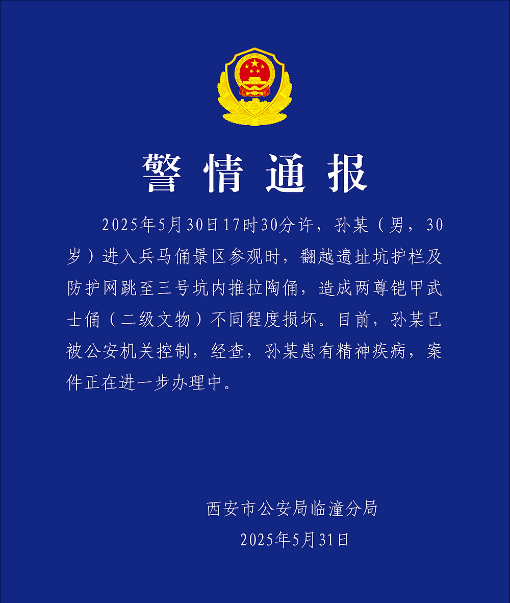 男子跳入俑坑推倒兵马俑摆出奇特姿势，脸上浮现诡异表情！西安警方通报（视频/组图） - 15
