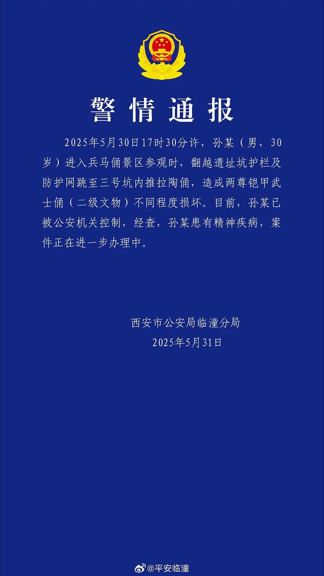 男子跳至兵马俑坑内，造成两尊铠甲武士俑损坏，警方通报：已控制当事人（组图） - 1