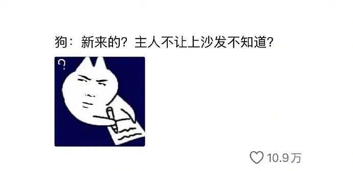 【爆笑】“千万！不要！随便让AI帮你P图啊！”哈哈哈哈真没时间陪你闹了（组图） - 79