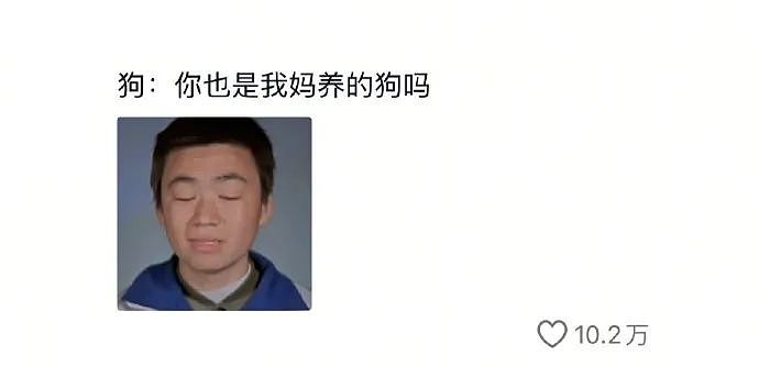 【爆笑】“千万！不要！随便让AI帮你P图啊！”哈哈哈哈真没时间陪你闹了（组图） - 80