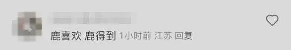 日本奈良小鹿当街抢中国游客包,飞脚踹人后携包狂奔!当事人:钱包和护照都丢了(视频/组图) - 4