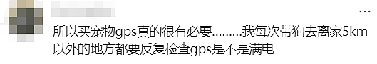 走失529天，终于与你重逢...澳洲上演最温情的“绝杀”！（组图） - 28