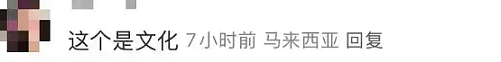 中国游客在新加坡酒店吃榴莲被罚千元，网友炸了（组图） - 5