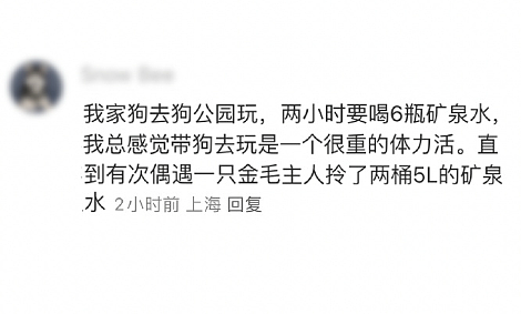 【爆笑】端午节想让男友送个70块钱的粽子礼盒，他拒绝了？还觉得我虚荣？（组图） - 25