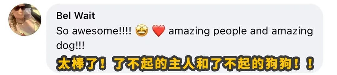 走失529天，终于与你重逢...澳洲上演最温情的“绝杀”！（组图） - 21