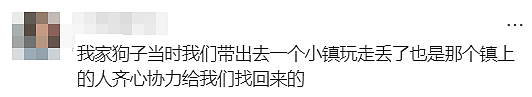 走失529天，终于与你重逢...澳洲上演最温情的“绝杀”！（组图） - 27