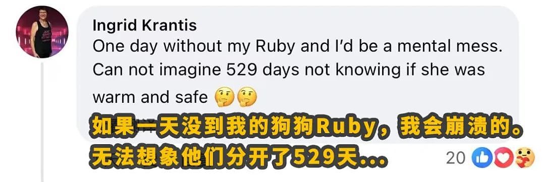 走失529天，终于与你重逢...澳洲上演最温情的“绝杀”！（组图） - 22