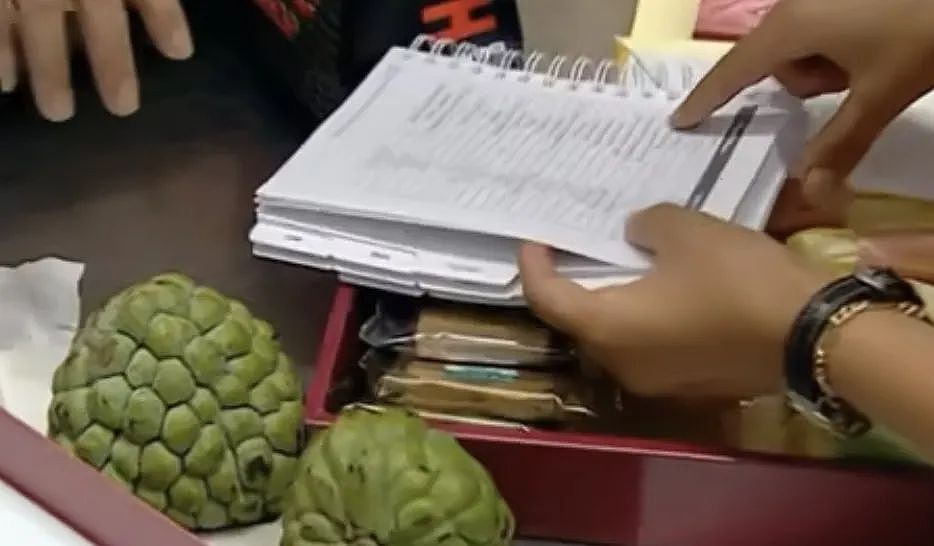 对澳洲海关人员翻白眼、在卢浮宫跳广场舞…中国大妈的吵闹与尴尬(组图) - 4