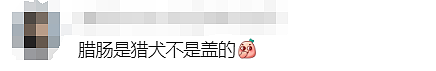 走失529天，终于与你重逢...澳洲上演最温情的“绝杀”！（组图） - 26