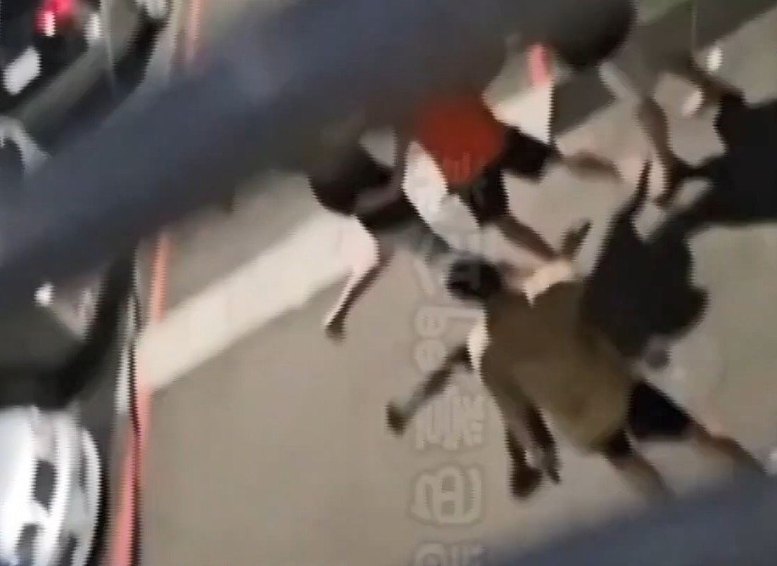 上海迪士尼全武行影片疯传！夫妻与情侣拳脚相向，连小孩也被狠打，警方介入（视频/组图） - 6