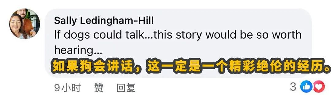 走失529天，终于与你重逢...澳洲上演最温情的“绝杀”！（组图） - 18