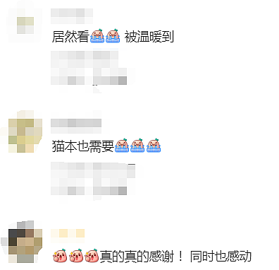 悉尼华人团结起来了！“护航悉尼”上线，“一方有难、八方支援”（组图） - 10
