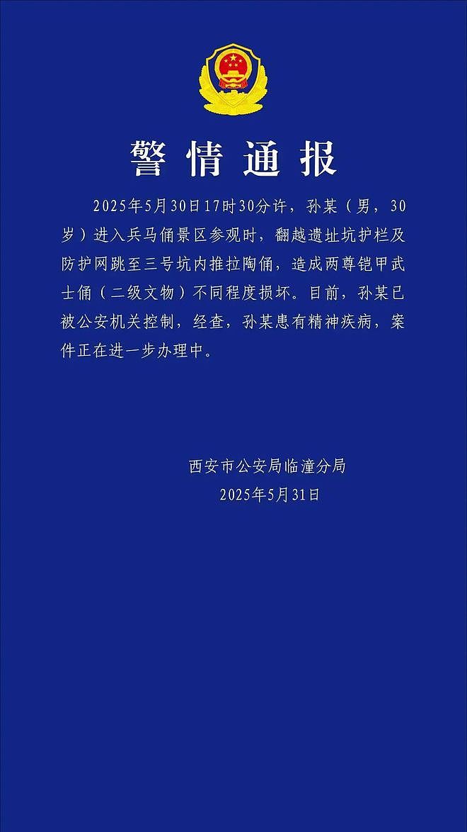 跳进兵马俑坑内推拉陶俑造成损坏！男子抓到了，患精神疾病......（组图） - 2