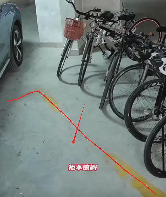 女子为报复推倒自行车后续:车主拒绝和解,定损价曝光,真赔不起(视频/组图) - 5