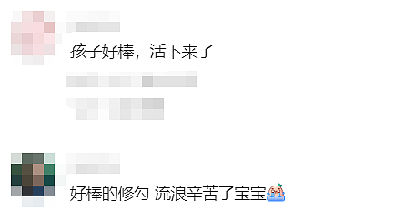 走失529天，终于与你重逢...澳洲上演最温情的“绝杀”！（组图） - 16