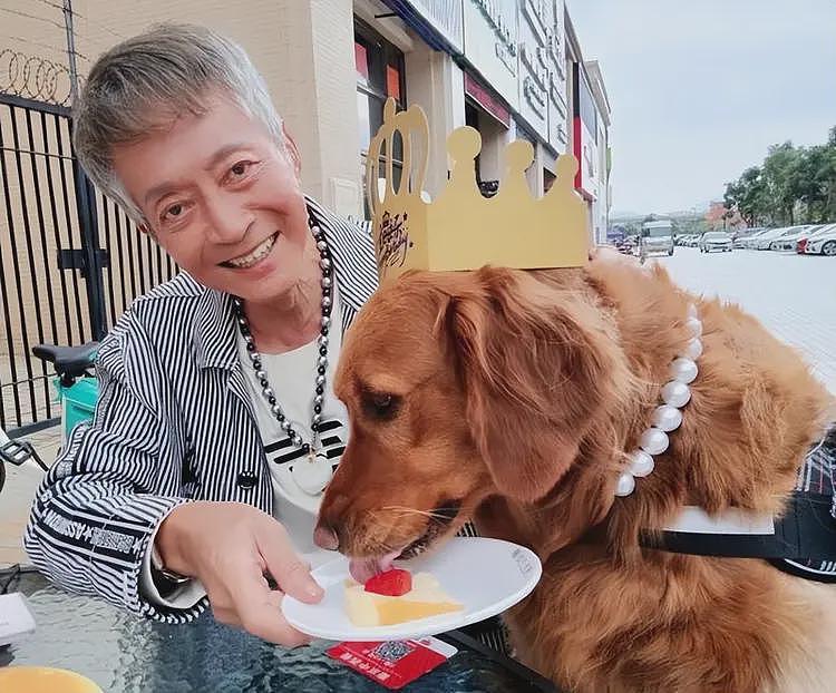 78岁演员方刚离世,晚年生活奢华,珠宝藏品无数,狗都戴珍珠项链(组图) - 3