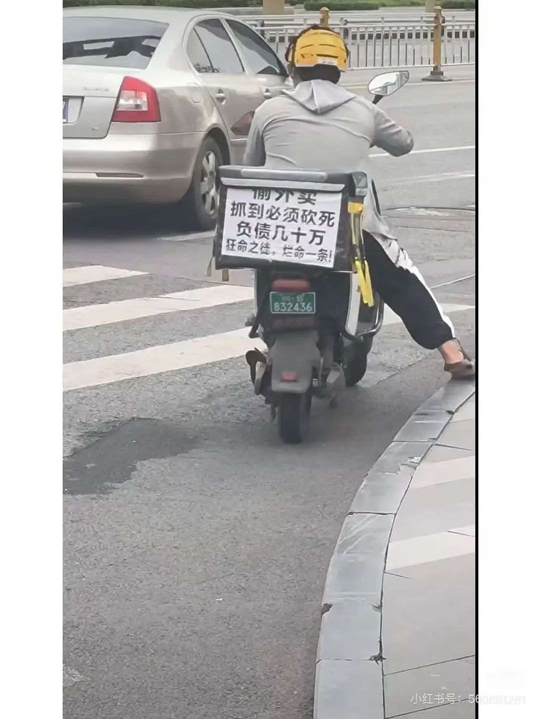 【爆笑】“因为打麻将没回消息相亲对象破防了...”哈哈哈怎么才能养到这种电子宠物(组图) - 105