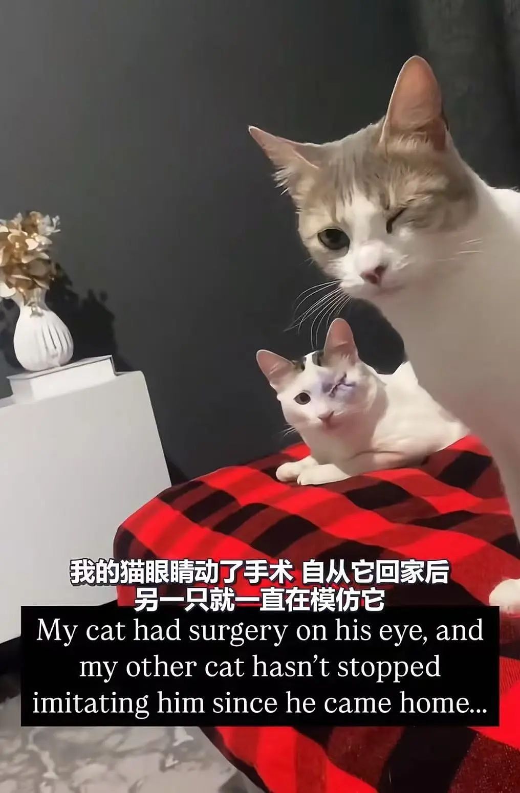 【爆笑】“同事失恋就把自己的工作推给我做？”啊啊啊个人情绪不要带到工作上来（组图） - 46