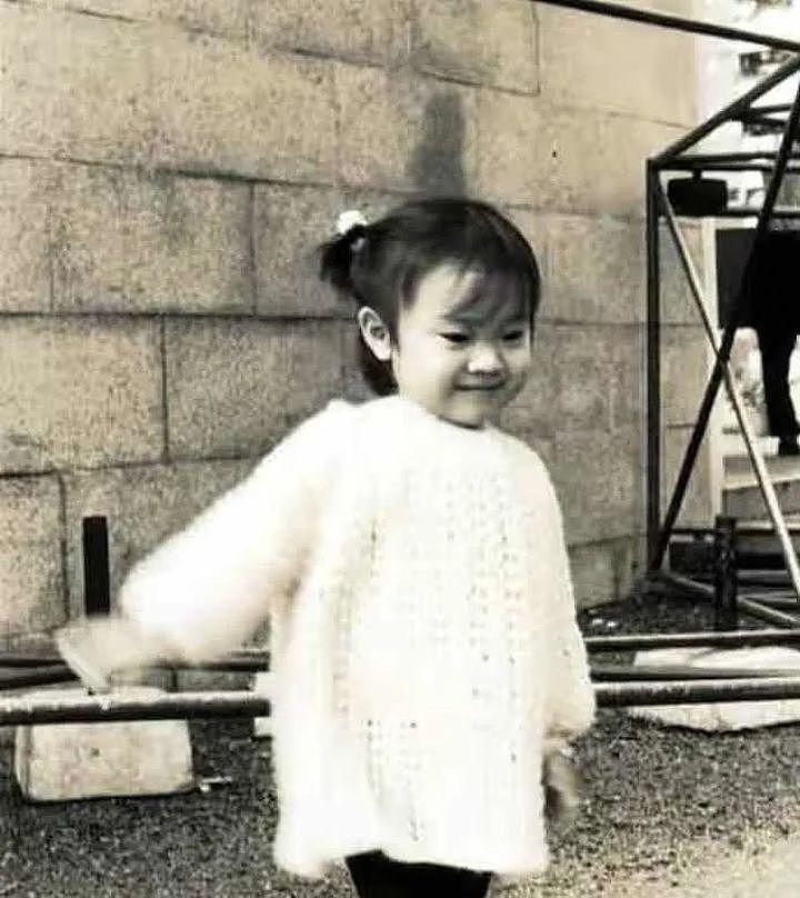 陈法蓉新剧再现港女精神？与李嘉欣争了半辈子，年近六十活出真谛（组图） - 6