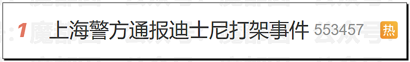 热搜第一!上海迪士尼疯狂情侣竟为拍照殴打婴幼儿,引发全网震怒,官方回应(视频/组图) - 1