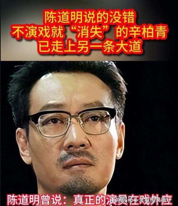 陈道明说的没错,不演戏就“消失”的辛柏青,已走上另一条大道(组图) - 1