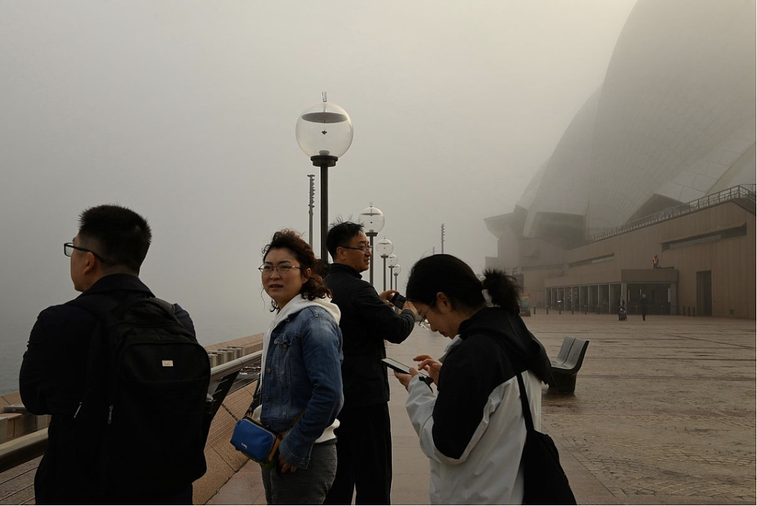 浓雾突袭!悉尼地标建筑集体“隐身”!多家航司航班大面积延误,所有轮渡停运!全城拉响大雾警报(组图) - 5
