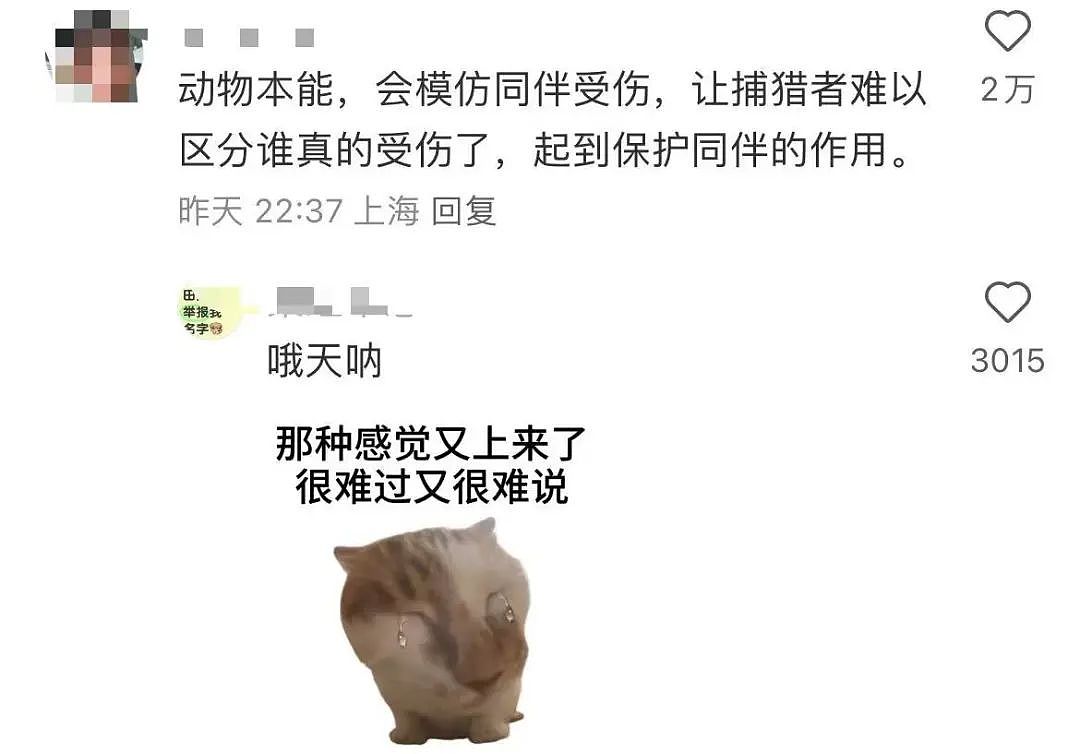 【爆笑】“同事失恋就把自己的工作推给我做？”啊啊啊个人情绪不要带到工作上来（组图） - 48