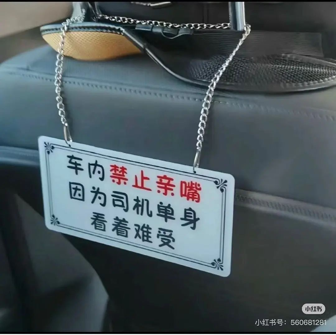 【爆笑】“因为打麻将没回消息相亲对象破防了...”哈哈哈怎么才能养到这种电子宠物(组图) - 102