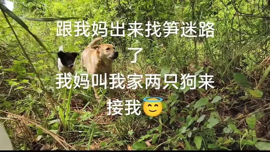 【爆笑】“同事失恋就把自己的工作推给我做？”啊啊啊个人情绪不要带到工作上来（组图） - 105