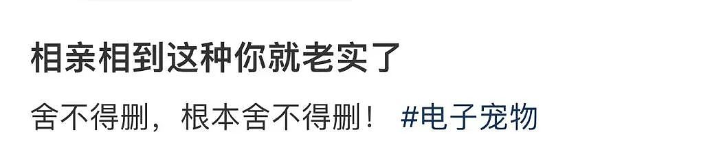 【爆笑】“因为打麻将没回消息相亲对象破防了...”哈哈哈怎么才能养到这种电子宠物(组图) - 5