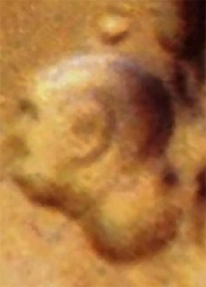 火星“怪相”全揭秘:人脸、巨蛛与神秘“门”,引发外星文明猜想(组图) - 9