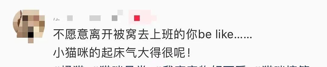 【爆笑】“同事失恋就把自己的工作推给我做？”啊啊啊个人情绪不要带到工作上来（组图） - 51