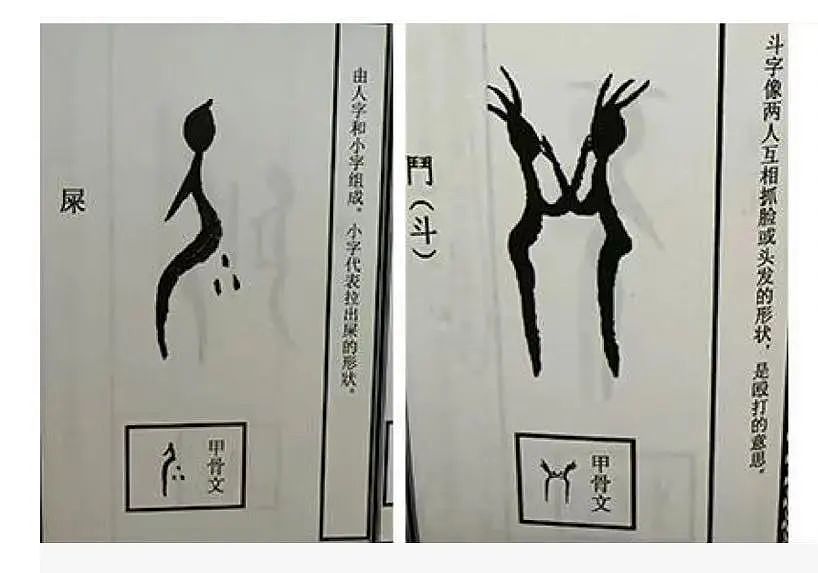 【爆笑】“因为打麻将没回消息相亲对象破防了...”哈哈哈怎么才能养到这种电子宠物(组图) - 78
