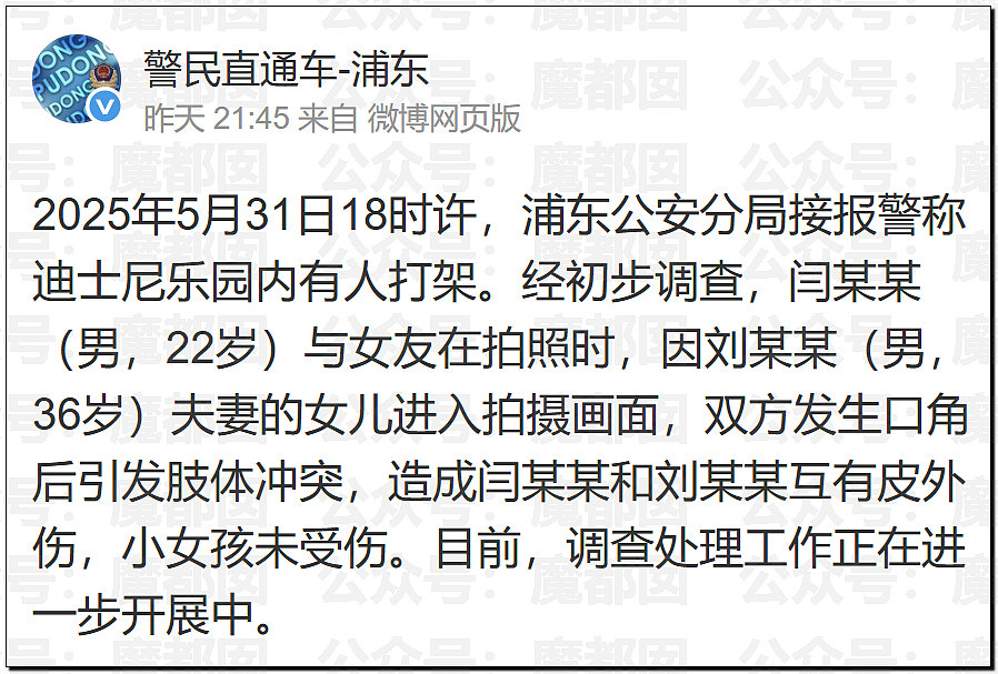 热搜第一!上海迪士尼疯狂情侣竟为拍照殴打婴幼儿,引发全网震怒,官方回应(视频/组图) - 30