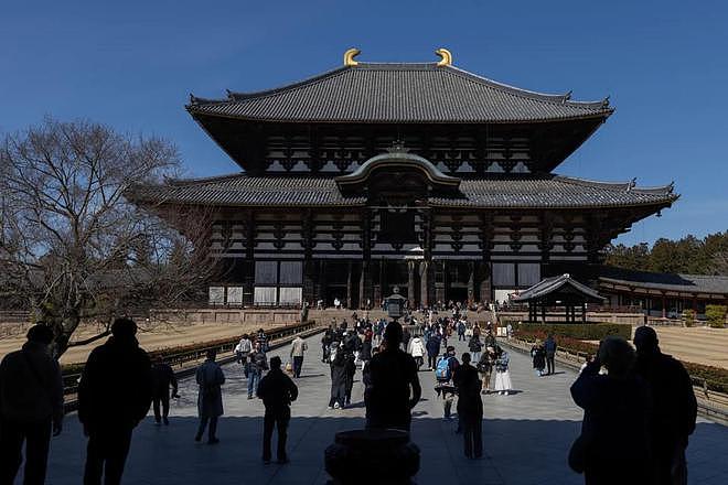 日本古寺“龙骸”之谜破解:千年木乃伊竟实为貂类遗骸(组图) - 3