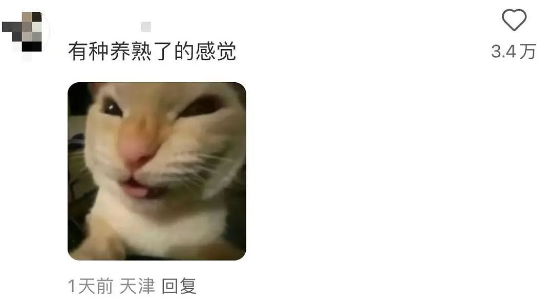 【爆笑】“因为打麻将没回消息相亲对象破防了...”哈哈哈怎么才能养到这种电子宠物(组图) - 25
