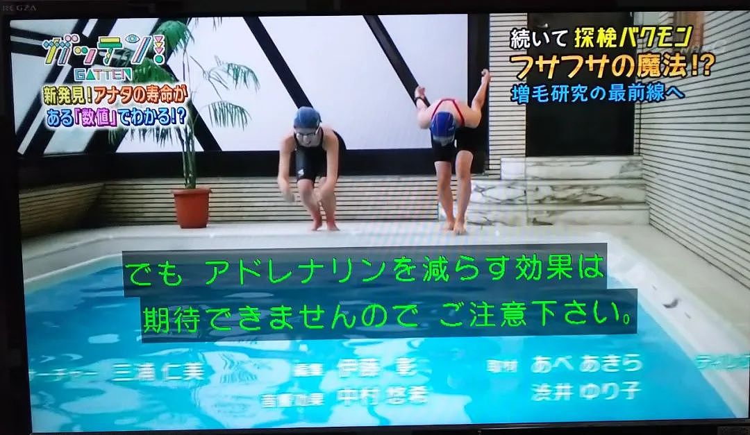 日本最有名的游泳池，里面拍的片这辈子都看不完（组图） - 15