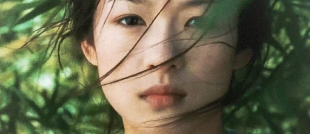 大花沦为小生垫脚石,内娱真要完了(组图) - 27