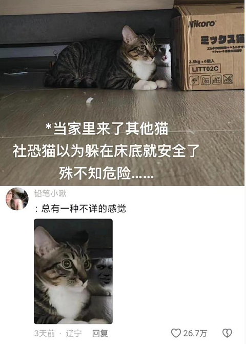 【爆笑】老公送我5k手镯,但总觉得有问题?网友惊呆:抠男真是让我眼界大开!(组图) - 37