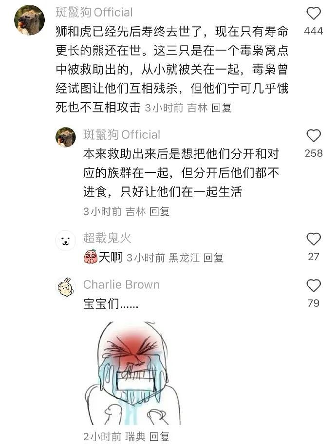 【爆笑】老公送我5k手镯,但总觉得有问题?网友惊呆:抠男真是让我眼界大开!(组图) - 13