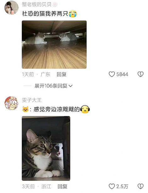 【爆笑】老公送我5k手镯,但总觉得有问题?网友惊呆:抠男真是让我眼界大开!(组图) - 39