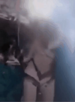 震惊全网!19岁美少女获邀体验滑翔,空中自解安全带,当场坠亡(组图) - 3